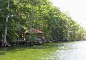 Map Of Reelfoot Lake Tennessee the top 5 Things to Do Near Reelfoot Lake State Park Tiptonville