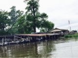 Map Of Reelfoot Lake Tennessee View Of Gray S Camp Dock From Our Boat Picture Of Reelfoot Lake