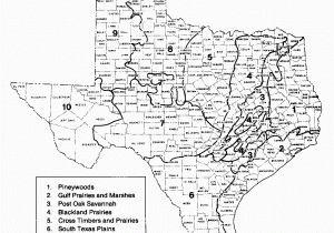 Map Of Refugio Texas Map Of Texas Black and White Sitedesignco Net