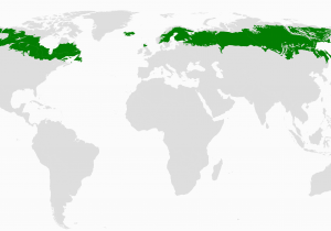 Map Of Russia and Canada Boreal forest Of Canada Wikipedia