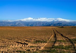 Map Of Sierra Nevada Spain Sierra Nevada Spain Wikipedia