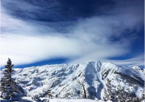 Map Of Snowmass Colorado Amazing Skiing Best In the State Picture Of Viceroy Snowmass