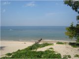 Map Of St Joseph Michigan the 10 Best Things to Do In Saint Joseph 2019 with Photos