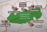 Map Of Tennessee Pigeon forge Armadillos Spread In East Tn Surround Smokies Wbir Com