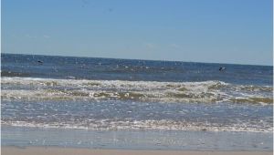 Map Of Texas Beaches Matagorda Beach 2019 All You Need to Know before You Go with