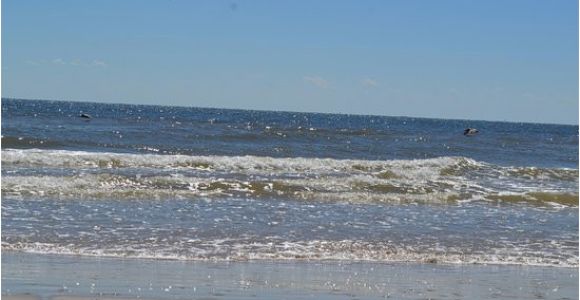 Map Of Texas Beaches Matagorda Beach 2019 All You Need to Know before You Go with