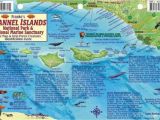 Map Of the Channel islands California California Fish Card Channel islands 2011 by Frankos Maps Ltd