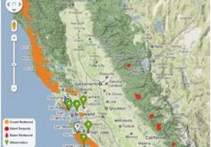 Map Of the Redwoods In California 35 Best Redwoods Images Beautiful Places National Parks Nature