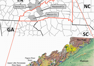 Map Of the Tennessee River Locations Of the Pigeon River Basin and Coweeta River Basin A