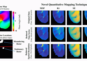 Map Of the University Of Minnesota Talkachova Lab University Of Minnesota