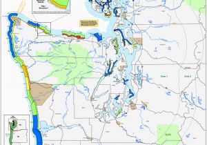 Map Of Washington oregon and California Seabird Ecology Marbled Murrelet Population Trends Washington