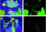 Map Of Weidman Michigan Two Dimensional Halide Perovskite Nanomaterials and Heterostructures