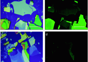 Map Of Weidman Michigan Two Dimensional Halide Perovskite Nanomaterials and Heterostructures