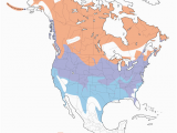 Map Of West Coast Of America and Canada Canada Goose Distribution Migration and Habitat Birds