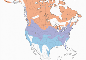 Map Of West Coast Of America and Canada Canada Goose Distribution Migration and Habitat Birds