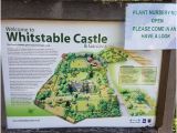 Map Of Whitstable Kent England Map Of the Grounds Picture Of Whitstable Castle Gardens