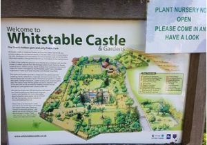 Map Of Whitstable Kent England Map Of the Grounds Picture Of Whitstable Castle Gardens