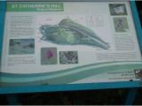 Map Of Winchester England Hill S Map Picture Of St Catherine S Hill Winchester Tripadvisor