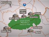 Map Pigeon forge Tennessee Armadillos Spread In East Tn Surround Smokies Wbir Com