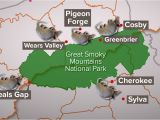 Map Pigeon forge Tennessee Armadillos Spread In East Tn Surround Smokies Wbir Com
