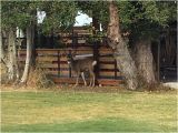Map Sisters oregon Sisters Creekside Campground Reviews oregon Tripadvisor