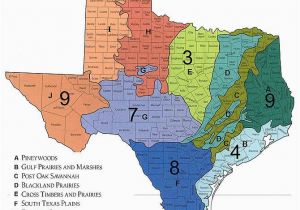 Maps Of Texas Regions Texas Planting Outdoor Living Growing Texas Gardening Texas