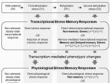 Memory Map France Frontiers Dehydration Stress Memory Gene Networks Linked to