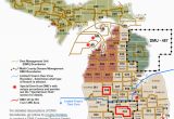 Michigan Center Lake Map Dnr Dmu Management Info