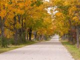 Michigan Fall Colors Map Fall Foliage tours In Michigan