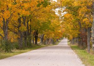 Michigan Fall Colors Map Fall Foliage tours In Michigan