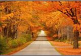 Michigan Fall Foliage Map 49 Best Wisconsin S Fall Color Images Wisconsin Wisconsin Fall