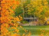 Michigan Fall Foliage Map A State by State Guide to Fall Colors