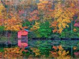 Michigan Fall Foliage Map A State by State Guide to Fall Colors