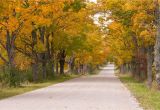 Michigan Fall Foliage Map Fall Foliage tours In Michigan