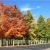 Michigan Fall Foliage Map Fall Foliage tours In Michigan