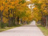 Michigan Leaf Color Map Fall Foliage tours In Michigan