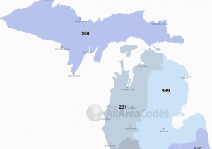 Michigan Postal Code Map 313 area Code 313 Map Time Zone and Phone Lookup