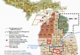 Michigan School Districts Map Dnr Dmu Management Info