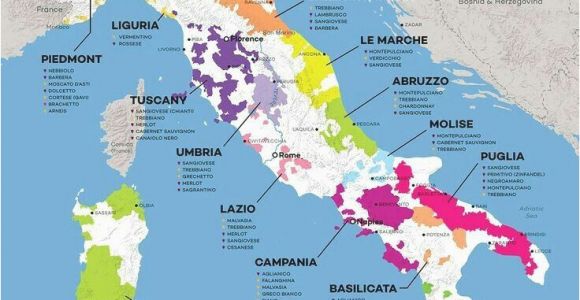 Michigan Winery Map In 2018 Italy Food Pinterest Wine Italian Wine and Wine Folly