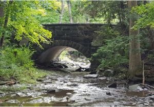 Mill Creek Park Youngstown Ohio Map Lake Cohasset Mill Creek Park Picture Of Mill Creek Park