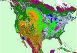 Minnesota Biomes Map Earth Floor Biomes Pearltrees