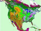 Minnesota Biomes Map Earth Floor Biomes Pearltrees