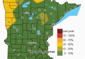 Minnesota Fall Color Map What Keeps Me Up at Night Latest On Florence Startribune Com