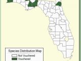 Minnesota Ginseng Map Carex Vulpinoidea Species Page isb atlas Of Florida Plants