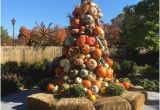 Minnesota Landscape Arboretum Map Beautiful Fall Displays Picture Of Minnesota Landscape Arboretum