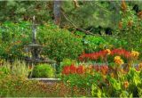 Minnesota Landscape Arboretum Map Chanhassen 2019 Best Of Chanhassen Mn tourism Tripadvisor