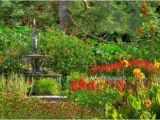 Minnesota Landscape Arboretum Map Chanhassen 2019 Best Of Chanhassen Mn tourism Tripadvisor