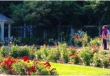 Minnesota Landscape Arboretum Map Rose Garden at Minnesota Landscape Arboretum Picture Of Minnesota