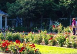 Minnesota Landscape Arboretum Map Rose Garden at Minnesota Landscape Arboretum Picture Of Minnesota