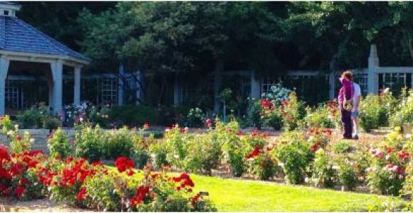 Minnesota Landscape Arboretum Map Rose Garden at Minnesota Landscape Arboretum Picture Of Minnesota